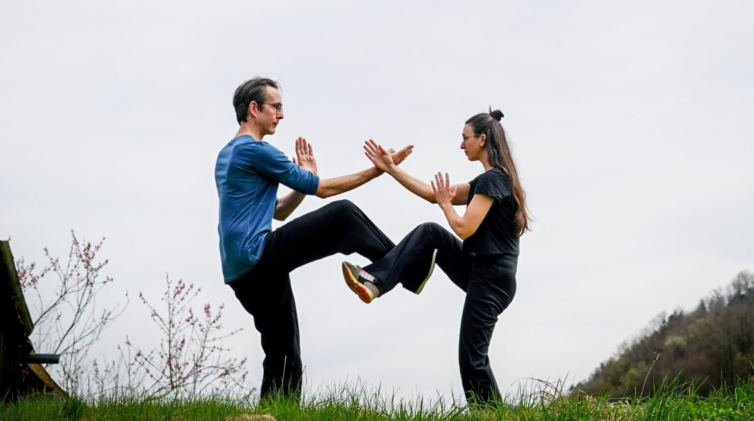 Wing Chun Qi Gong Tai Chi Kung Fu Long Zentrum Wien